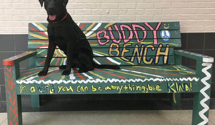 Ch+buddy+bench+sit