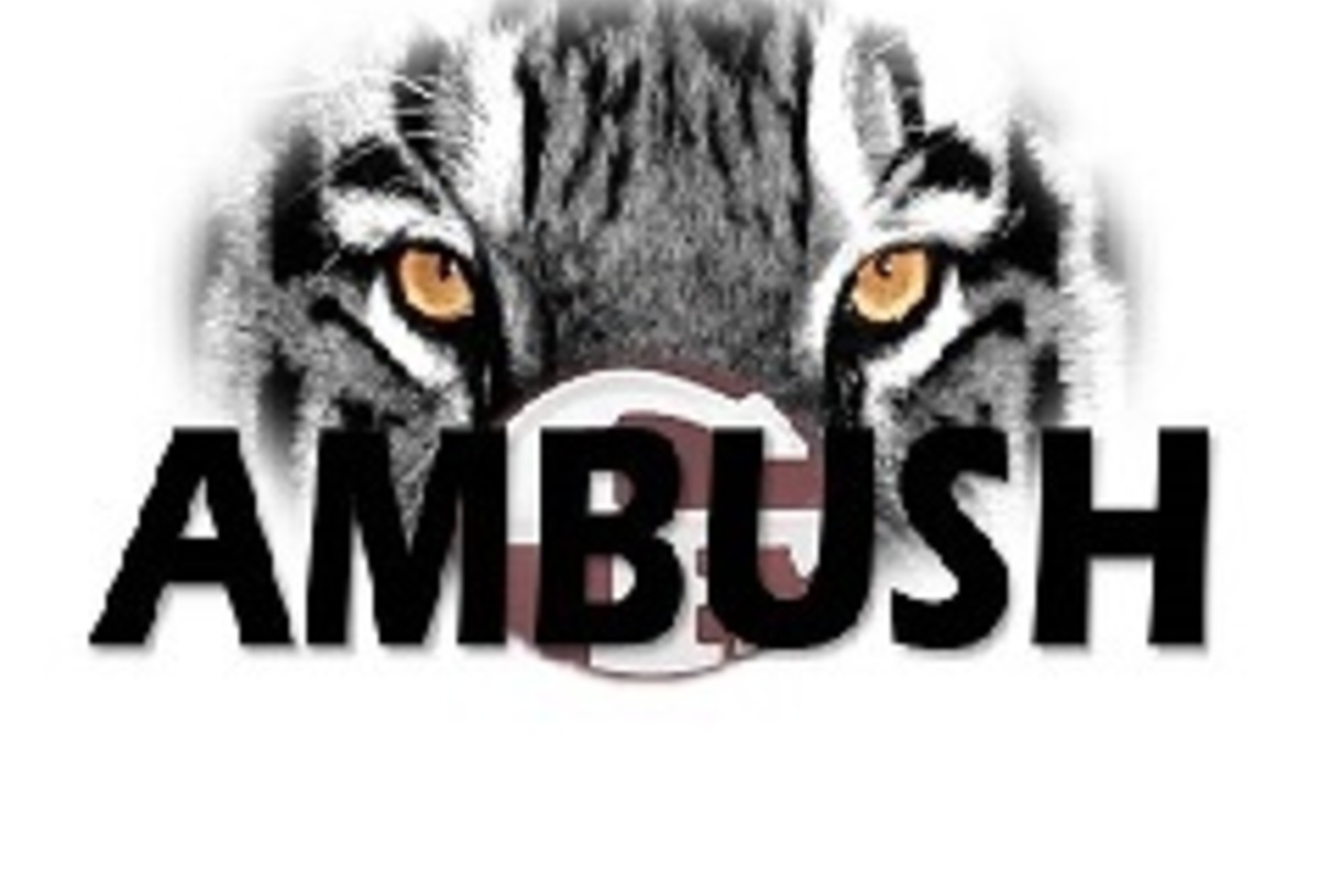 Ambush+web