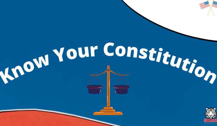 Know+your+constitution